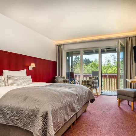 Sommerau 3* Buchenberg