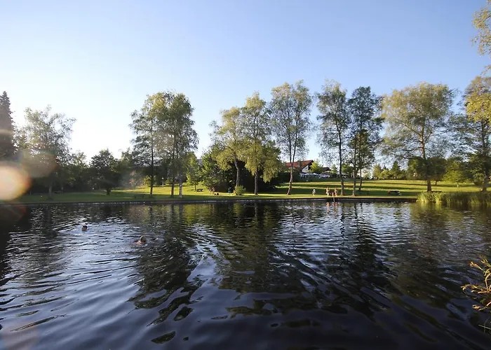 فندق Sommerau